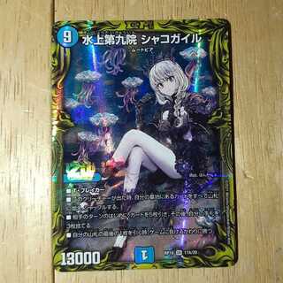 Waterjo Ninth Institute Shakogile (20th Rare Spec.)