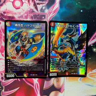 ハヤブサリュウ    リュウセイカイザー