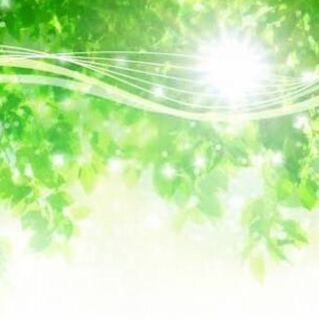 ミヤピー 様 専用