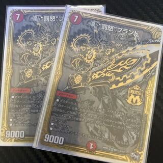 Two "Punishment Rage" brand black shiku