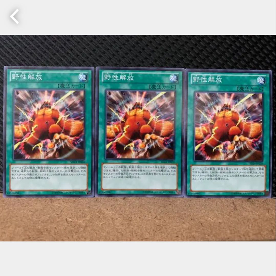 【ぽぽたん】遊戯王 1213 野性解放 3枚 ノーマル