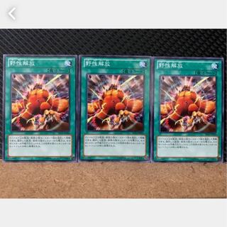 【ぽぽたん】遊戯王 1213 野性解放 3枚 ノーマル