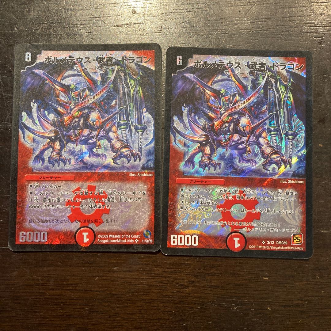 Bormetheus, warrior, dragon