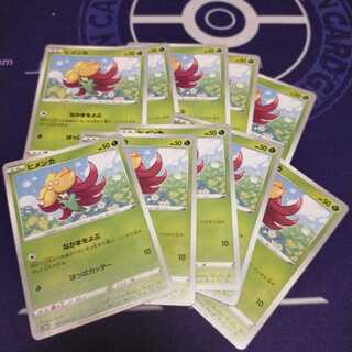 ヒメンカ　10枚セット