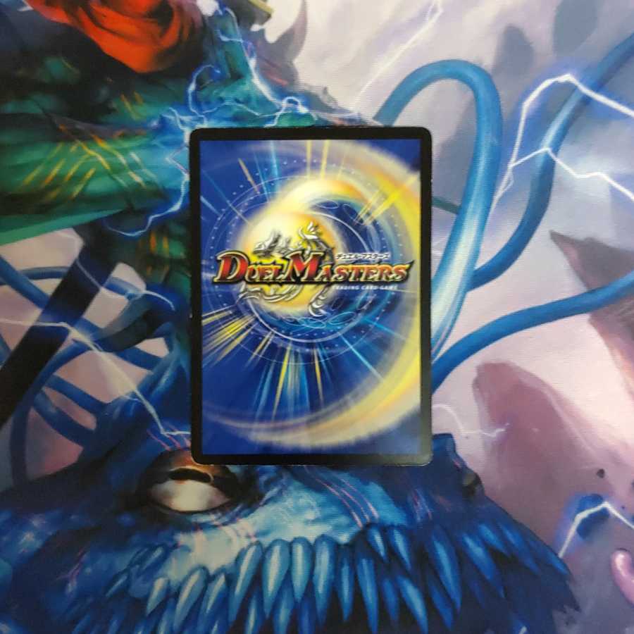 クール・ビューティー