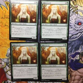 楽園のドルイド