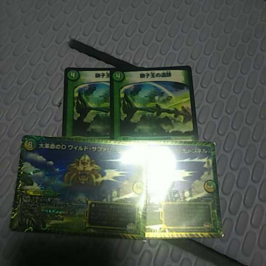 獅子王の遺跡 大革命のDワイルドサファリチャンネル