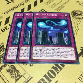 魂のさまよう墓場【N】