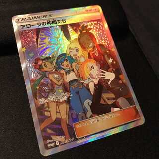 アローラの仲間たち SR仕様 401/SM-P TT様専用