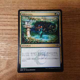 MTG コモン 成長のらせん