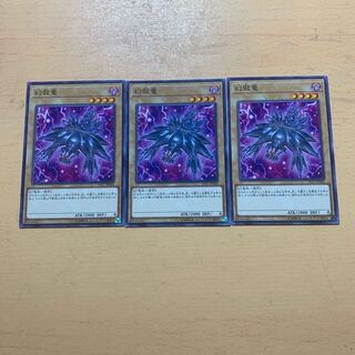 幻殻竜 ノーマル