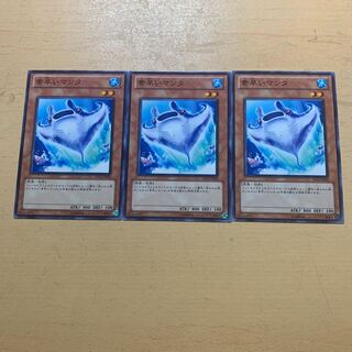 素早いマンタ ノーマル