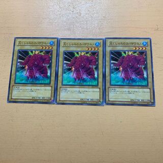 大くしゃみのカバザウルス ノーマル