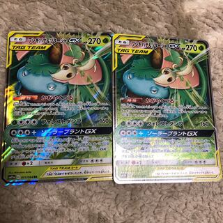 フシギバナ&ツタージャGX