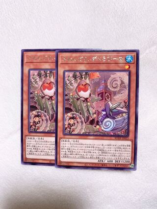 ふわんだりぃず×ろびーな レア　2枚♡おまけ付き♡