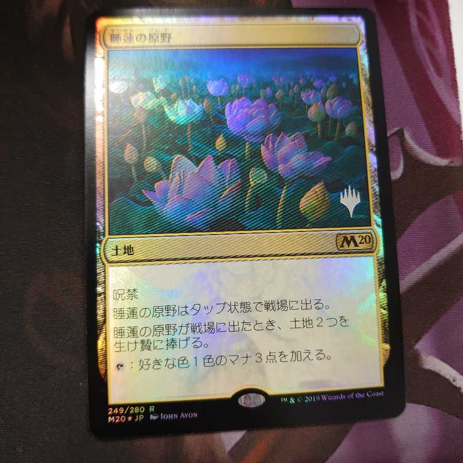 睡蓮の原野 プロモ Foil 1枚