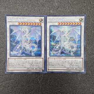 遊戯王 青眼の精霊龍 シク 2枚セット