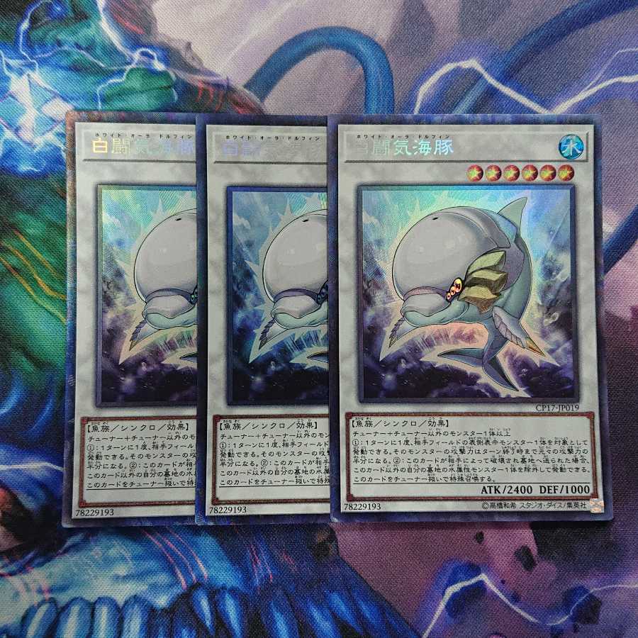 White Aura Dolphin Collector's Rare