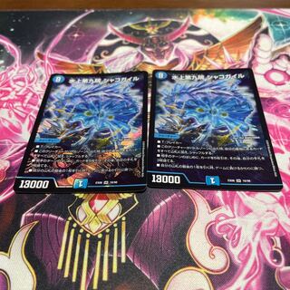 水上第九院 シャコガイル