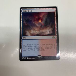 aletheia様専用　沸騰する小湖