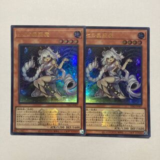 Traptrix Genlisea Ultra Rare