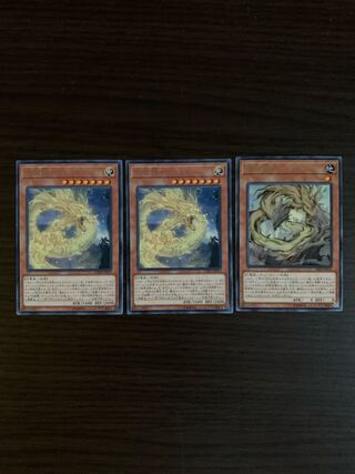 天威龍-アシュナ レア2枚　天威龍-アーダラ　レア1枚