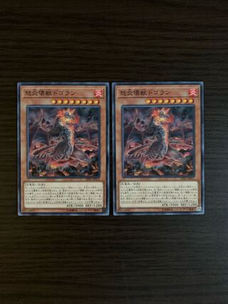 怒炎壊獣ドゴラン ノーマル 2枚セット