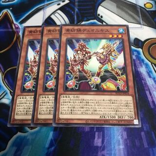 黄紡鮄デュオニギス ノーマル　Hulu 275