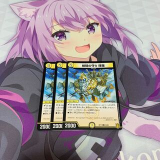 検問の守り 輝羅 U 3枚セット