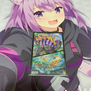 闘争類拳嘩目 ステゴロ・カイザー｜お清めシャラップ