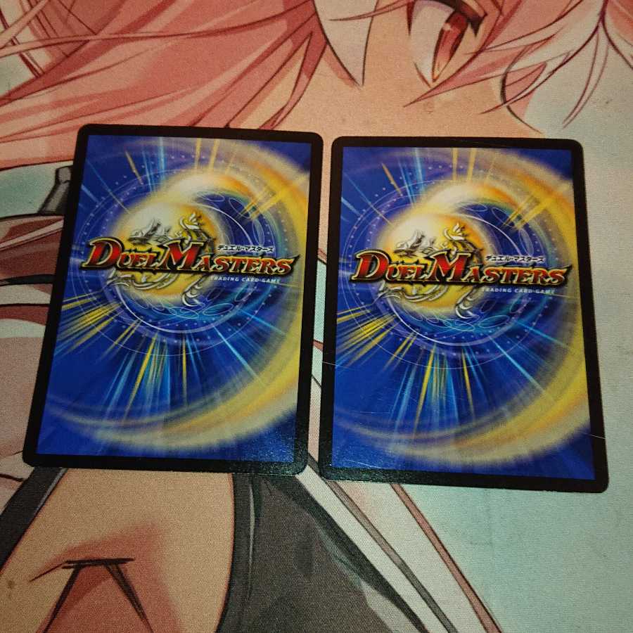 スチーム・ハエタタキ