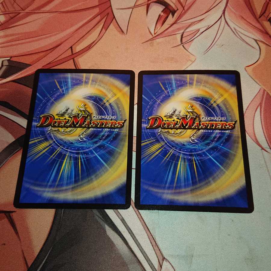 スチーム・ハエタタキ