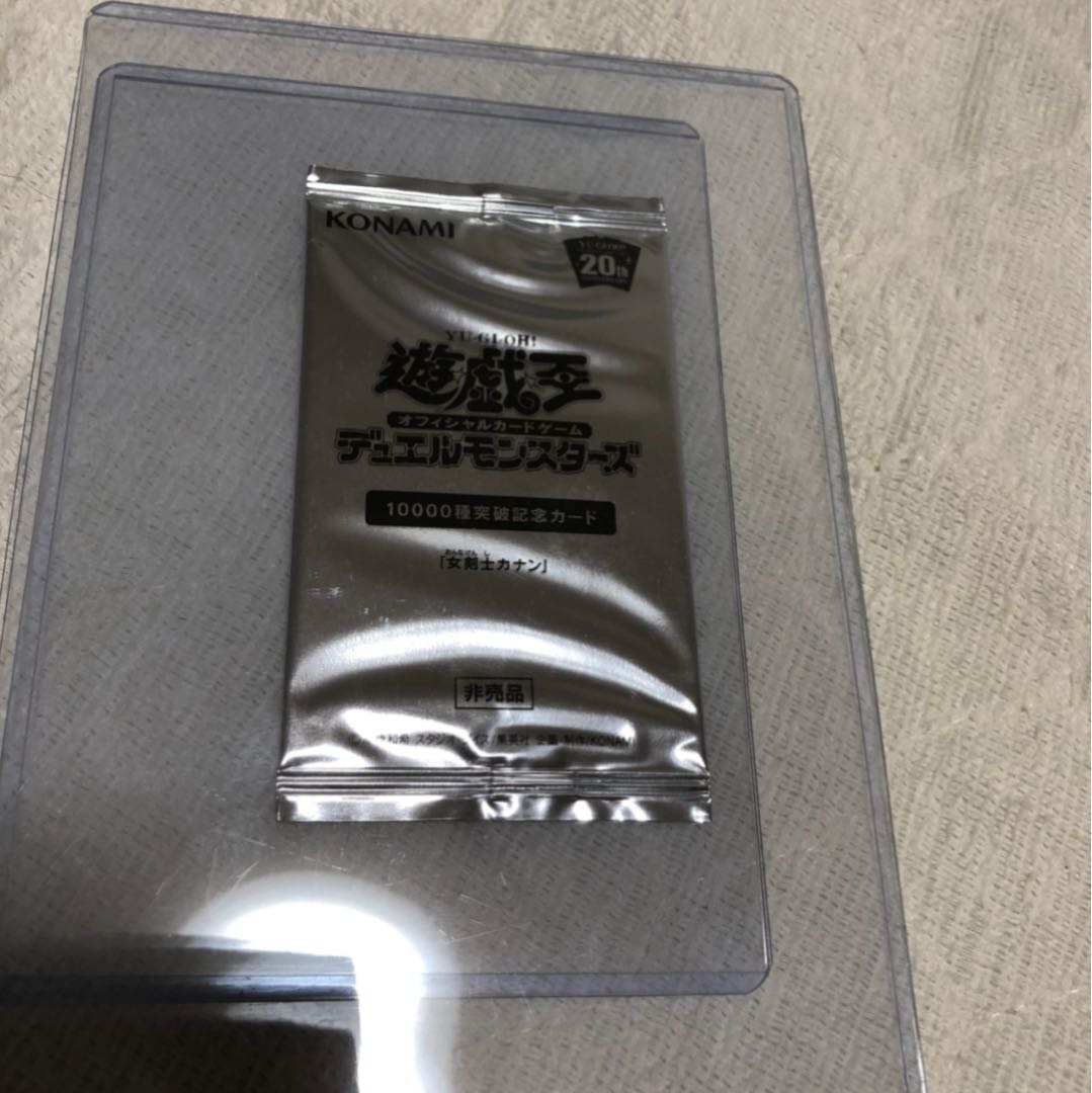 じゃー様専用　女剣士カナン