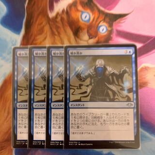 Fact or Fiction Japanese 4 copies