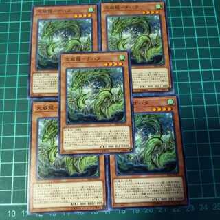 Yu-Gi-Oh! Tenmei Ryu - Nahata - Normal 5 cards