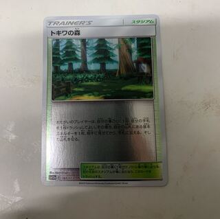 トキワの森 ミラー