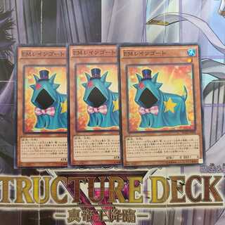 EMレインゴート ノーマル　3枚