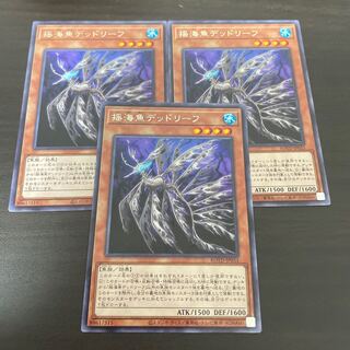 揺海魚デッドリーフ レア
