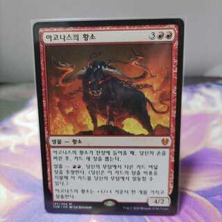 Scrip様専用 アゴナスの雄牛 韓国語版