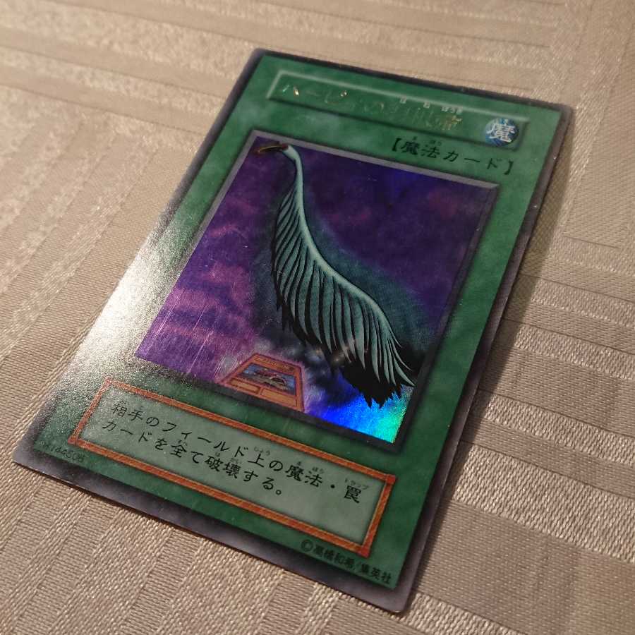 [初期]ハーピィの羽根箒