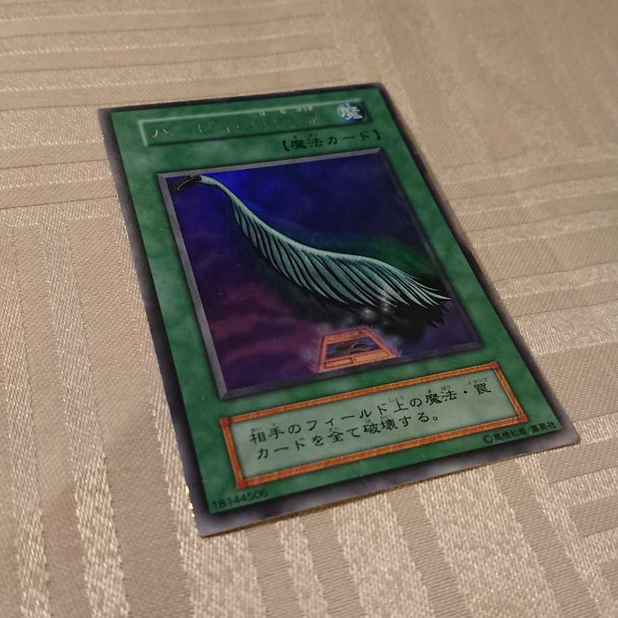 [初期]ハーピィの羽根箒