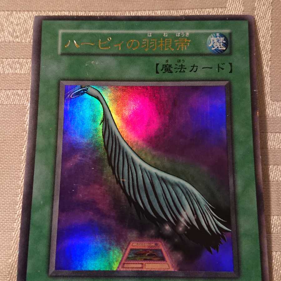 [初期]ハーピィの羽根箒