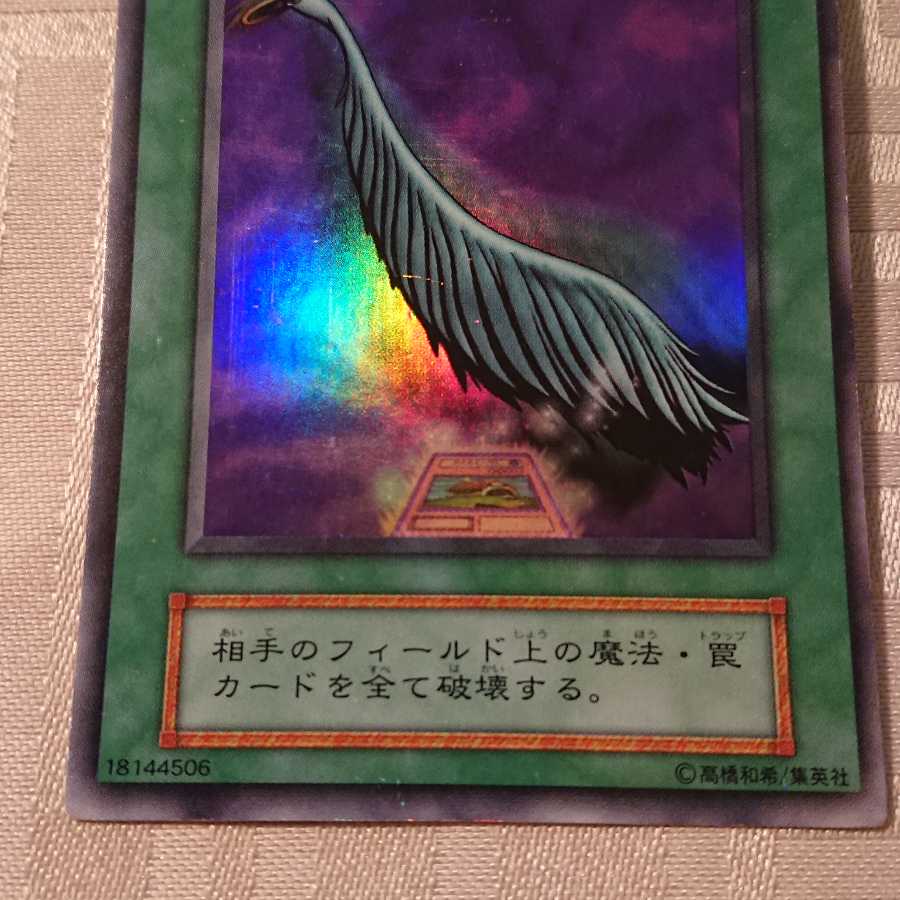 [初期]ハーピィの羽根箒