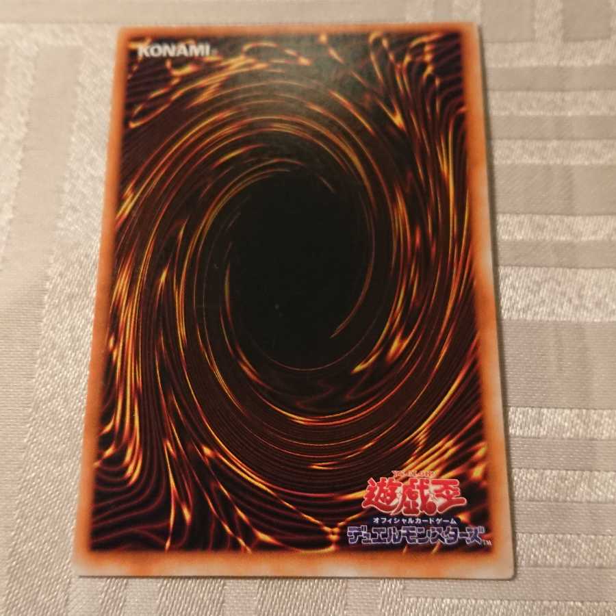 [初期]ハーピィの羽根箒