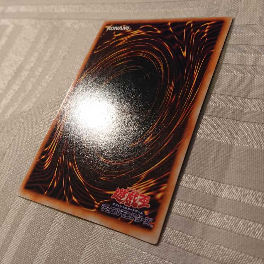 [初期]ハーピィの羽根箒