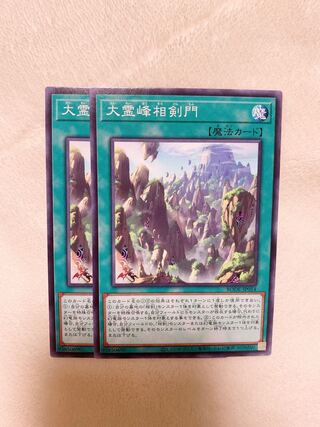 大霊峰相剣門 ノーマル　2枚♡おまけ付き♡