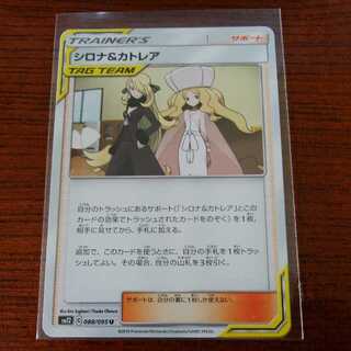 シロナ＆カトレア