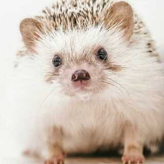 小田くんは変人