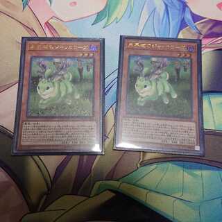 未界域のジャッカロープ