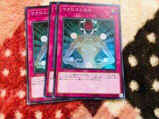 マクロコスモス